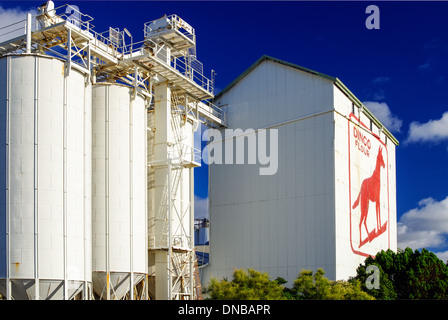 Dingo-Mehl an die Alliierten Mühle, North Fremantle in der Nähe von Perth, Westaustralien. Stockfoto