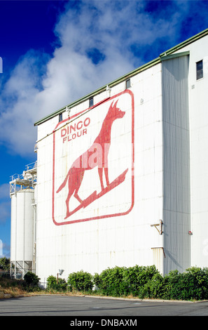 Dingo-Mehl an die Alliierten Mühle, North Fremantle in der Nähe von Perth, Westaustralien. Stockfoto