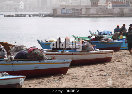 Fischer in Alexandria. Stockfoto