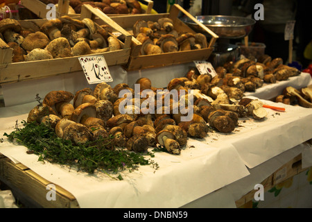 Mercato Centrale Florenz Stockfoto