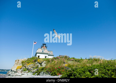 Eine Möwe fliegen vor der Roseninsel Leuchtturm B & B in der Nähe von Newport auf Narragansett Bay in Rhode Island amerikanische Flagge Stockfoto