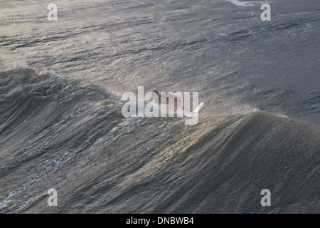 Folly Beach, South Carolina, USA - 25. Oktober 2012: Surfer reiten eine riesige Welle von Hurrikan Sandy aus gesehen hinter der w Stockfoto