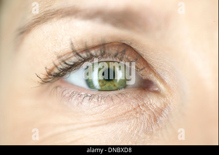 Ein Womans grüne Auge, Nahaufnahme Stockfoto