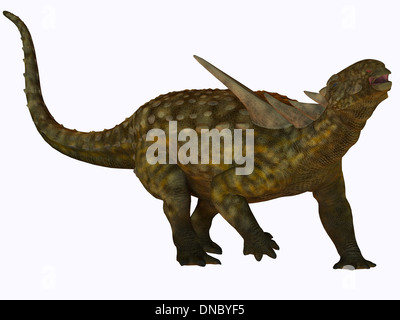 Sauropelta war ein Pflanzenfresser Dinosaurier, der in Flussauen Nordamerikas in der Kreidezeit lebte. Stockfoto