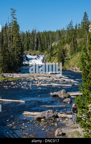 Touristen, die Lewis fällt auf den Lewis River.  Yellowstone-Nationalpark, Wyoming Stockfoto