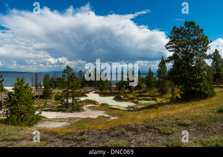 Boardwalk und thermischen Bereich mit Blick auf Yellowstone Lake West Thumb Geyser Bereich.  Yellowstone-Nationalpark, Wyoming Stockfoto