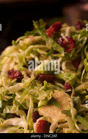 Nahaufnahme von rohen Brüssel Sprout Salat mit getrockneten cranberries Stockfoto