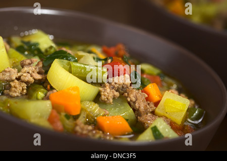 Gemüsesuppe mit Hackfleisch, grüne Bohnen, Kartoffeln, Lauch, Karotten, Tomaten und Petersilie in braunen Schüssel serviert Stockfoto