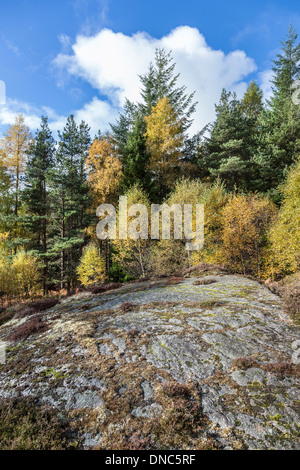 Roches Moutonnees (glaziale Rock) im Cairngorms National Park von Schottland. Stockfoto