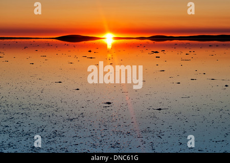 Sonnenaufgang am überfluteten See Gairdner auf der Eyre Peninsula. Stockfoto