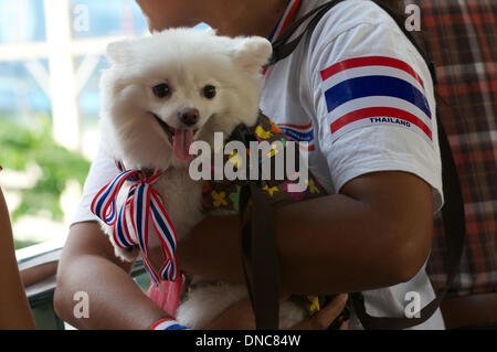 Bangkok, Thailand. 22. Dezember 2013. ein Anti-Regierungs-Hund Proteste auf der Straße. Zehntausende von Demonstranten gingen auf die Straße, einige w / ihre Hunde zu fordern den Rücktritt von Ministerpräsident Thailands. Bildnachweis: Kraig Lieb / Alamy Live News Stockfoto