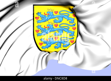 Wappen von Dänemark. Hautnah. Stockfoto