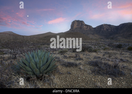 Guadalupe Peak ist der höchste Punkt in Texas - im Guadalupe Mountains National Park und erhebt sich nur über El Capitan. Stockfoto