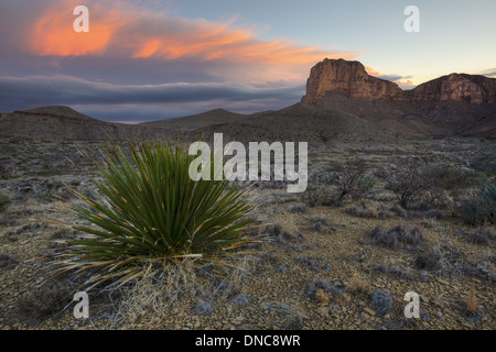 Guadalupe Peak steigt aus der West-Texas-Wüste als Morgenwolken Rollen über den alten Bergen. Stockfoto