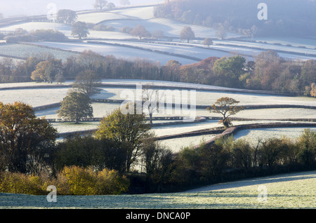 Frostigen Felder mit Herbst Farbe in den Brecon Beacons, Wales, UK. Stockfoto