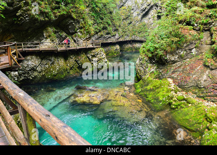 Ein spektakulärer Spaziergang in der Vintgar-Schlucht an Bord Spaziergänge über das smaragdgrüne Wasser des Radovna-Flusses unten - Bled, Slowenien Stockfoto