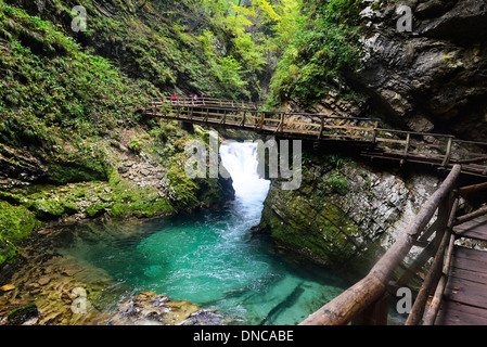 Eine spektakuläre Wanderung in die Schlucht Vintgar an Bord geht über dem smaragdgrünen Wasser des Flusses Radovna Stockfoto