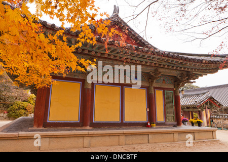 Herbst Farbe Ahorn Blätter vor traditionelle koreanische Architektur (Hanok) - Südkorea Stockfoto