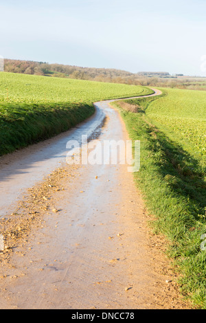 Eine Farmrundfahrt in den Cotswolds, Gloucestershire, England, UK Stockfoto