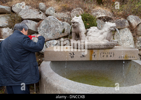 Öffentlichkeit trinken gut am buddhistischen Bulguksa Tempel - Gyeongju, Südkorea Stockfoto
