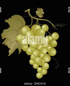Trauben Stock Vektor
