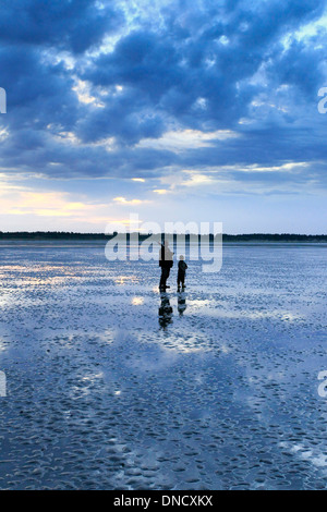 Der Baie de Somme (Nord-West Frankreich) am 4. August 2012. Eröffnungstag der Wasservögel Jagd Stockfoto