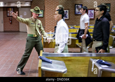 U.S. Marine Corps Drill Instruktoren direkt neu angekommene Rekruten durch Einnahme im Marine Corps zu rekrutieren Depot Parris Island 13 Wochen von Boot Camp 9. Dezember 2013 in Port Royal, South Carolina beginnen. Die Marines trainieren jährlich etwa 17.000 Rekruten auf Parris Island. Stockfoto