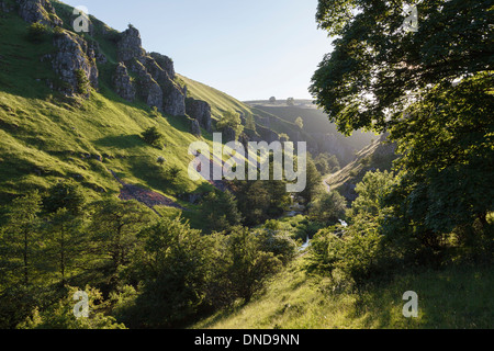 Wolfscote Dale, Taube Tal, Peak District National Park, Derbyshire Stockfoto