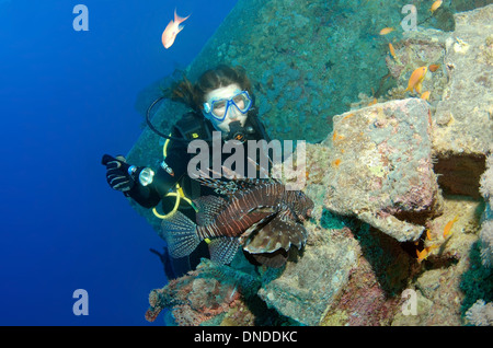 Taucher am roten Rotfeuerfisch (Pterois Volitans) auf Schiffbruch "SS Thistlegorm". Rotes Meer, Ägypten, Afrika Stockfoto