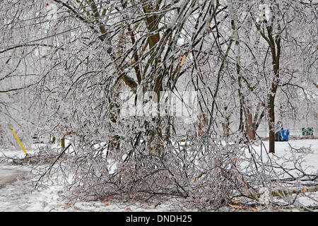 Toronto, Kanada. 22. Dezember 2013. Gefallene Äste und elektrischen Leitungen verheddert zusammen als Hinterlassenschaft der Eissturm und Eisregen. Bildnachweis: CharlineXia/Alamy Live-Nachrichten Stockfoto