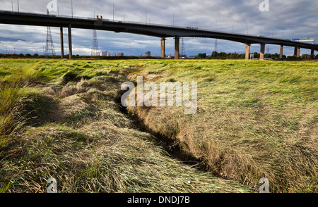 Avonmouth Autobahnbrücke, die die M5 über den Fluss Avon führt Und seine Salzwiesen bei Avonmouth in der Nähe von Bristol UK Stockfoto