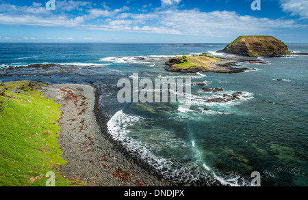 Die Nobbies auf Phillip Island, Victoria, Australien Stockfoto