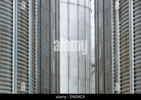 Raps-Öl (Raps)-Silos bei Molinera Gorbea, beteiligt ein Korn-Prozessor bei der Herstellung von Fischfutter Temuco, Chile Stockfoto