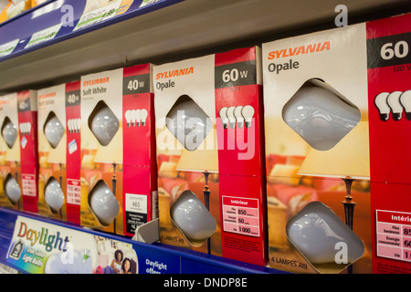 Eine Auswahl von Glühlampen sind zu sehen in einem Store in New York Stockfoto