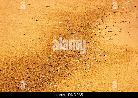 Nahaufnahme der Wasserlinie mit Muscheln und Kieselsteine Stockfoto