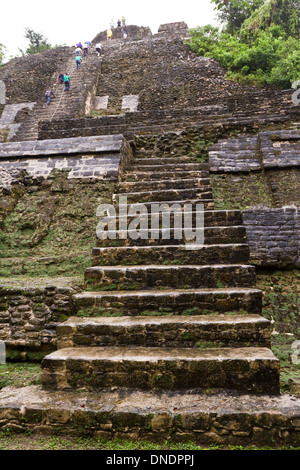 Lamanai, Belize - 08. November: Touristen Klettern eine antike Maya-Pyramide, 8. November 2013 in Lamanai Belize Stockfoto