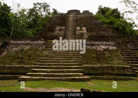 Große alte Maya-Tempel im Dschungel von Belize Lamananai Stockfoto