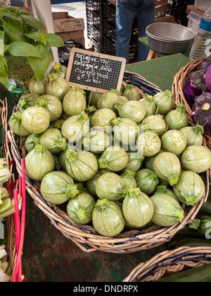 Runde Zucchini Cucurbita Pepo am Cours Saleya Markt, Nizza, Frankreich Stockfoto