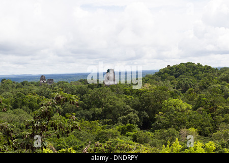 Maya-Ruinen in Tikal Guatemala November 2013 Stockfoto