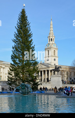 Weihnachtsbaum & Touristen in Trafalgar Square mit St. Martin in den Bereichen Kirchturm hinaus auf einem blauen Himmel Winter tag London England Großbritannien Stockfoto