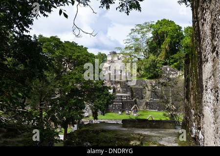 Maya-Ruinen in Tikal Guatemala zur Hälfte bedeckt und u-Bahn Stockfoto