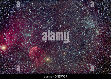 Die Quallen-Nebel und damit verbundenen Nebel. Stockfoto