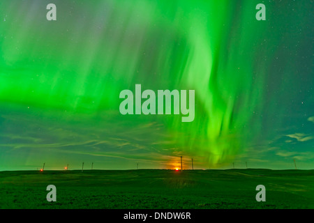 Das Nordlicht gesehen von der Wintering Hills Wind Farm, Alberta, Kanada. Stockfoto