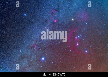 Orion und die Winter-Dreieck-Stars. Stockfoto