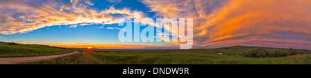 11. Juli 2013 - Panorama des Sonnenuntergangs an Reesor Ranch in der Nähe von Cypress Hills, Alberta, Canada. Stockfoto