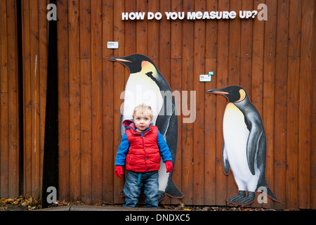 Ein kleiner Junge über 18 Monate alte stehen neben einigen lebensgroßen Bilder der Pinguine im Zoo von Edinburgh, Schottland, UK Stockfoto
