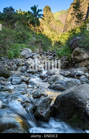 Die herrlichen Gipfel der Iao Nadel in Central Maui. Stockfoto