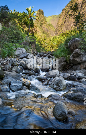 Die herrlichen Gipfel der Iao Nadel in Central Maui. Stockfoto