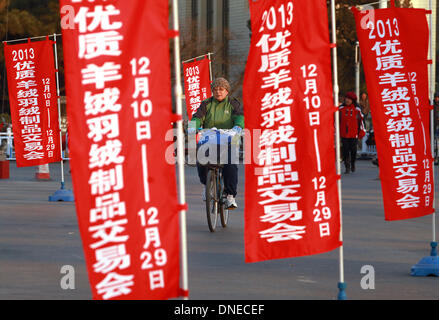 Peking, China. 16. Dezember 2013. Chinesische am Straßenrand Banner werben ein Low-Budget-Bekleidung-Sale am 16. Dezember 2013 bei einer Exhibition Center in Peking stattfand. Trotz einer aktuellen Umfrage, die Beijing als eines der teuersten Städte in Asien leben unterhält Chinas Hauptstadt immer noch eine robuste Wirtschaft catering für junge und ältere Menschen - sowohl auf festen Einkommen und in der Regel Low-Budget. Stephen Shaver/ZUMAPRESS.com/Alamy © Live-Nachrichten Stockfoto