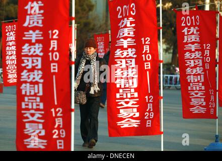 Peking, China. 16. Dezember 2013. Chinesische am Straßenrand Banner werben ein Low-Budget-Bekleidung-Sale am 16. Dezember 2013 bei einer Exhibition Center in Peking stattfand. Trotz einer aktuellen Umfrage, die Beijing als eines der teuersten Städte in Asien leben unterhält Chinas Hauptstadt immer noch eine robuste Wirtschaft catering für junge und ältere Menschen - sowohl auf festen Einkommen und in der Regel Low-Budget. Stephen Shaver/ZUMAPRESS.com/Alamy © Live-Nachrichten Stockfoto